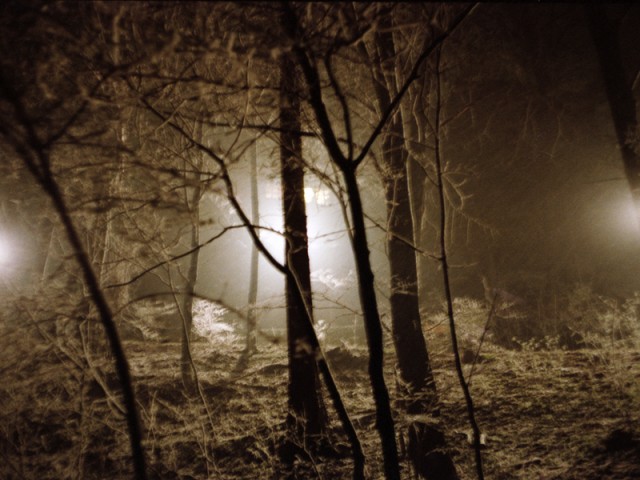 Nachtwald 4, 1991