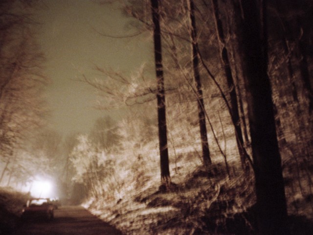 Nachtwald 7, 1991